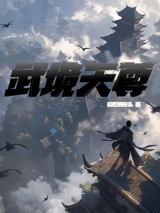 玄武境天武境尊武境后面是