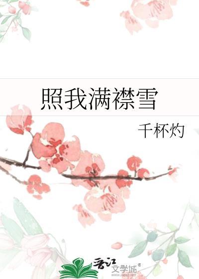 照我满怀冰雪