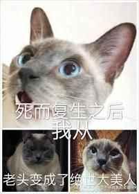 死而复生之后我从老头变成了绝世大美人 黑猫白袜子