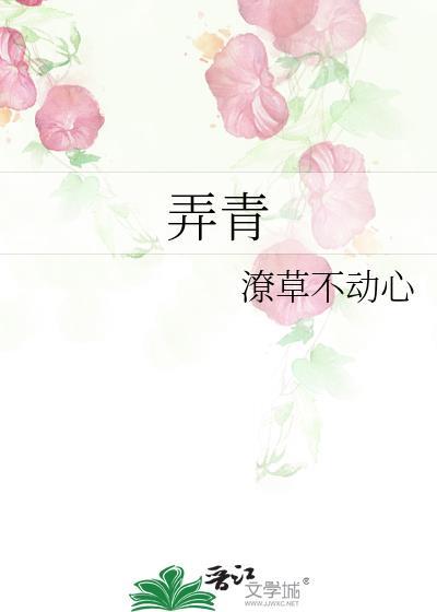 弄青梅笔趣网