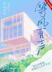 等风有声附带番外