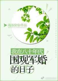 我在80年代围观军婚的样子