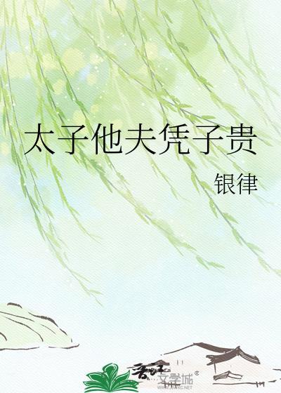 太子他夫凭子贵书包网