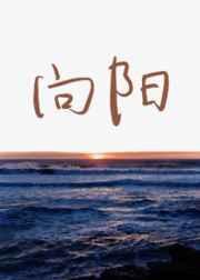 向阳花开