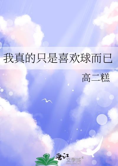 我真的只是喜欢球而已笔趣阁31