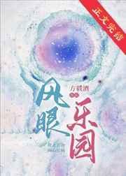 风眼游戏