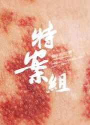 特殊案件调查组VI在线