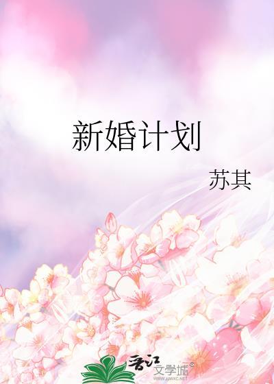 新婚计划苏其TXT