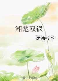 双钗 潇潇湘水txt