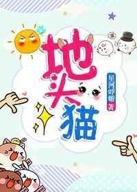 地头猫txt百度
