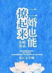 二婚了
