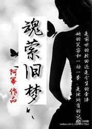 魂萦旧梦白光