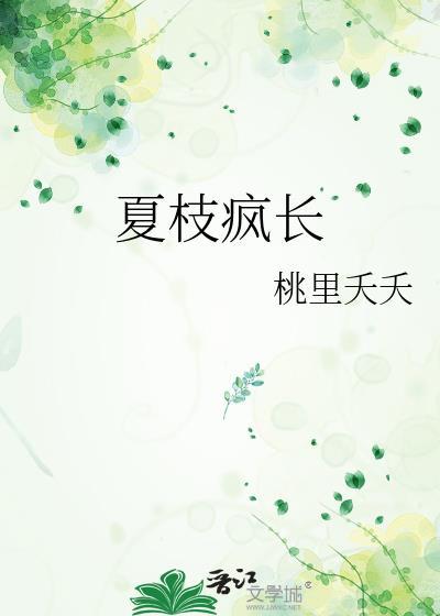 夏枝季言情免费阅读