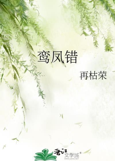 鸾凤错讲了什么