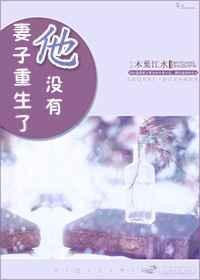 妻子重生了他没有入口