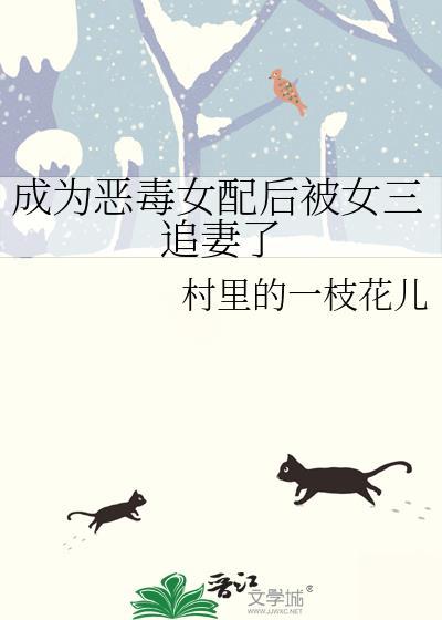 成为恶毒女配后被女三追妻了网