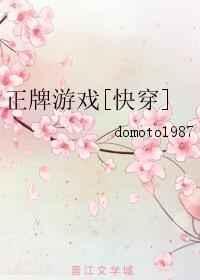 正牌是什么意思