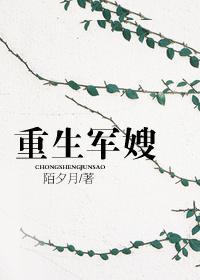 重生军嫂奋斗史在线阅读