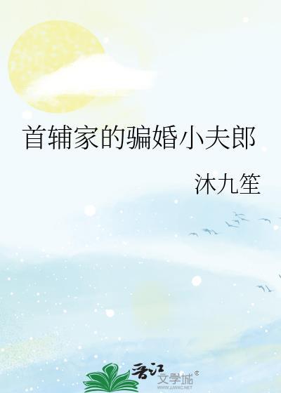 首辅家的骗婚小夫郎 沐九笙