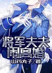 将军夫夫离婚记