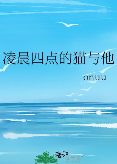 凌晨4点猫叫不停风水