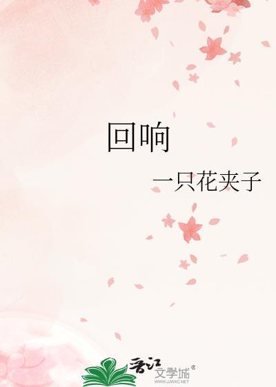 回响免费观看完整版电视剧