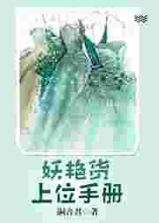 妖艳货上位手册盘