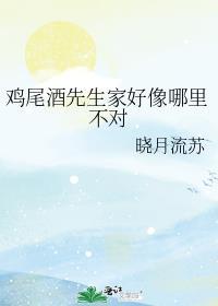 鸡尾酒先生家好像哪里不对txt百度