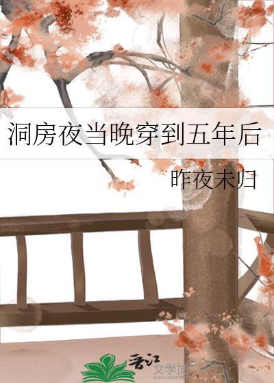 洞房夜当晚穿到五年后 昨夜未归