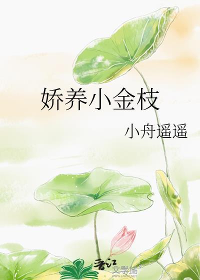 娇养小金枝作者小舟遥遥