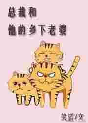 总裁和他的乡下老婆漫画