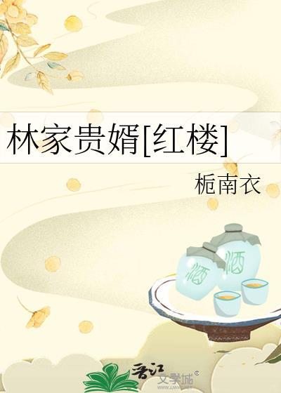 林家贵婿红楼by栀南衣