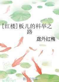 红楼梦板儿的科举之路