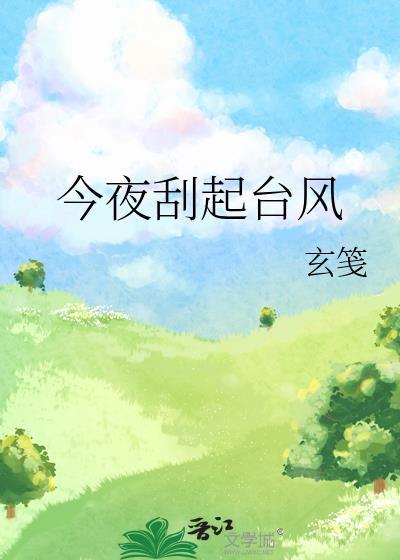 今夜刮起台风by玄笺免费阅读全文