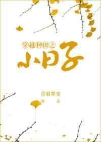 穿越 种田