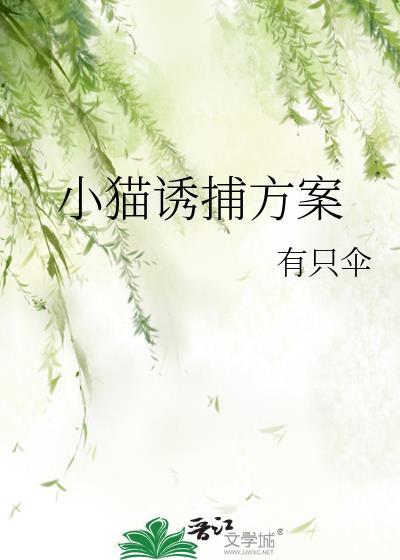 诱捕猫rudin