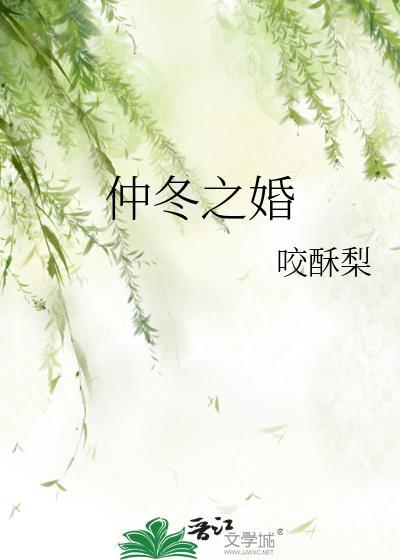 仲冬之婚txt