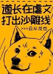 道长1v怕1